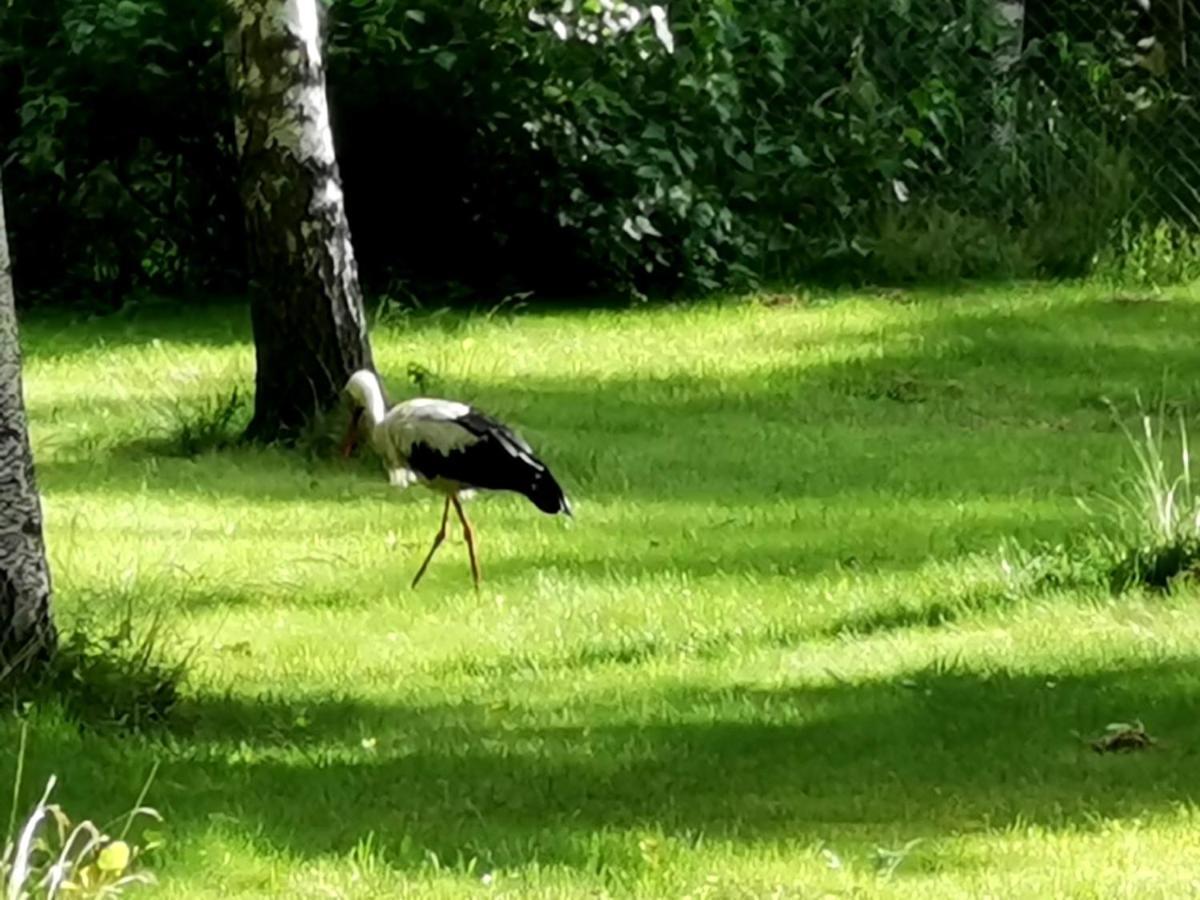 Peipsi Caravani Puhkemaja Nina Exterior foto